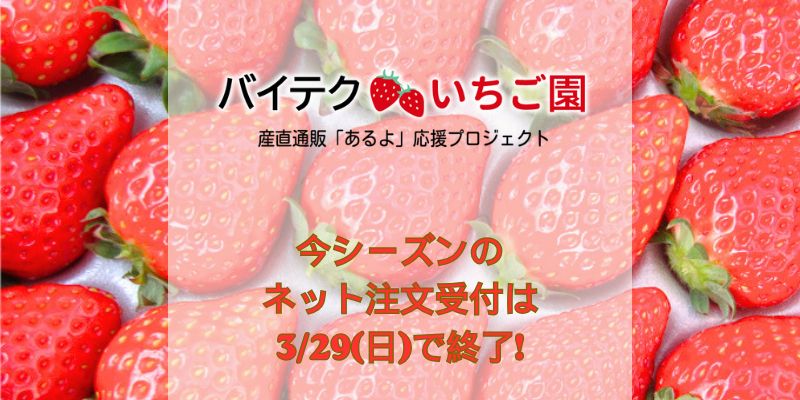 今シーズンのネット注文受付を3/29（日）で終了いたしました！