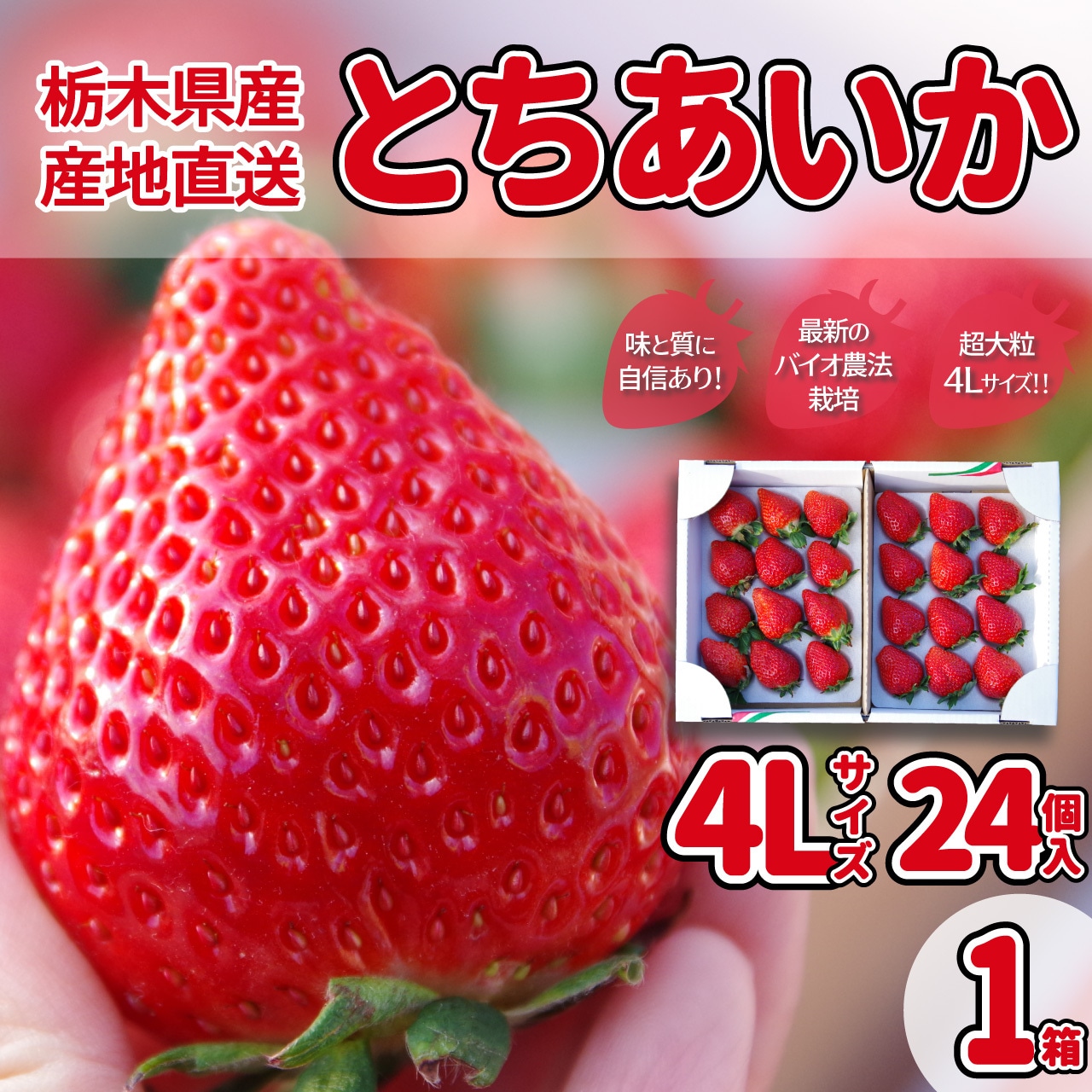 12月初旬に販売予定をお知らせいたします！