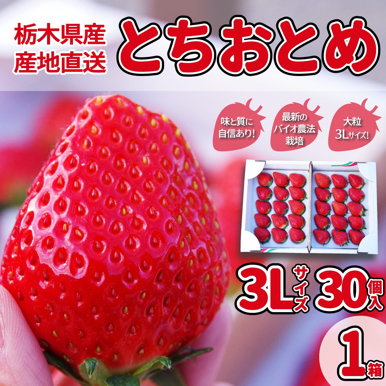 とちおとめ3Lと2Lの注文受付を開始！