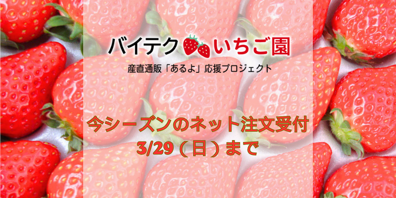 今シーズンのネット注文受付を3/29（日）で終了いたします！