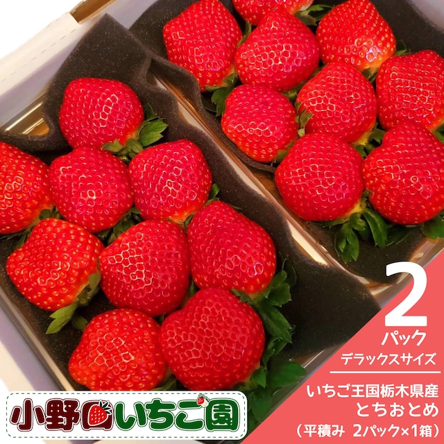 「有機栽培にとことんこだわった完熟いちご」注文受付開始！