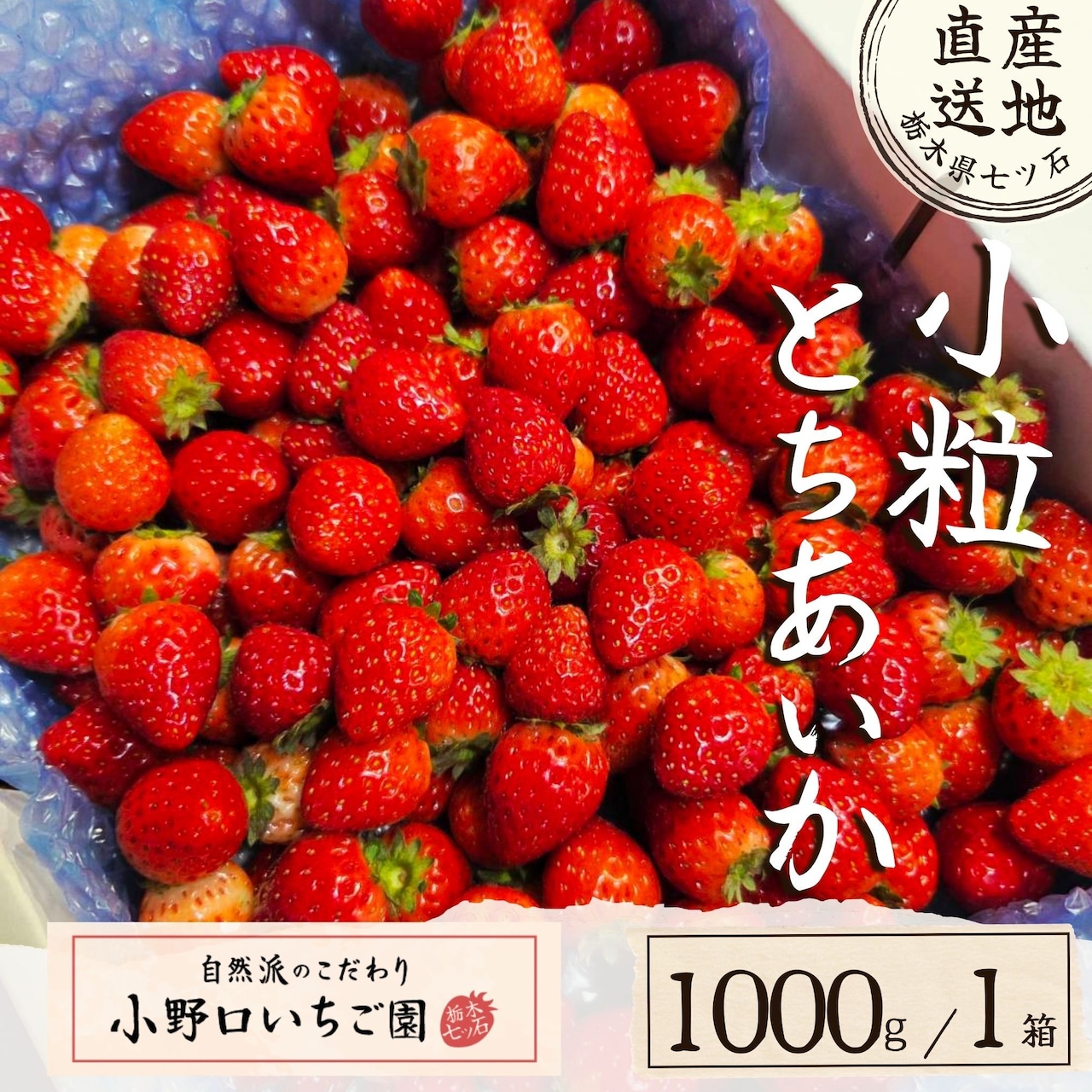 新商品 小粒 とちあいか・とちおとめ 注文受付開始!