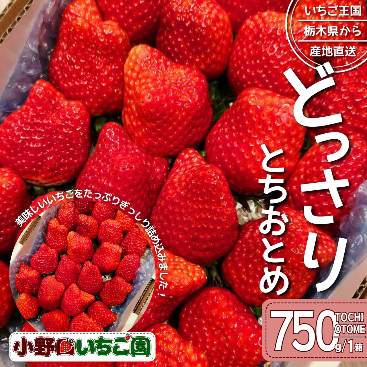 「イチゴ」注文受付を3/31（月）で終了！