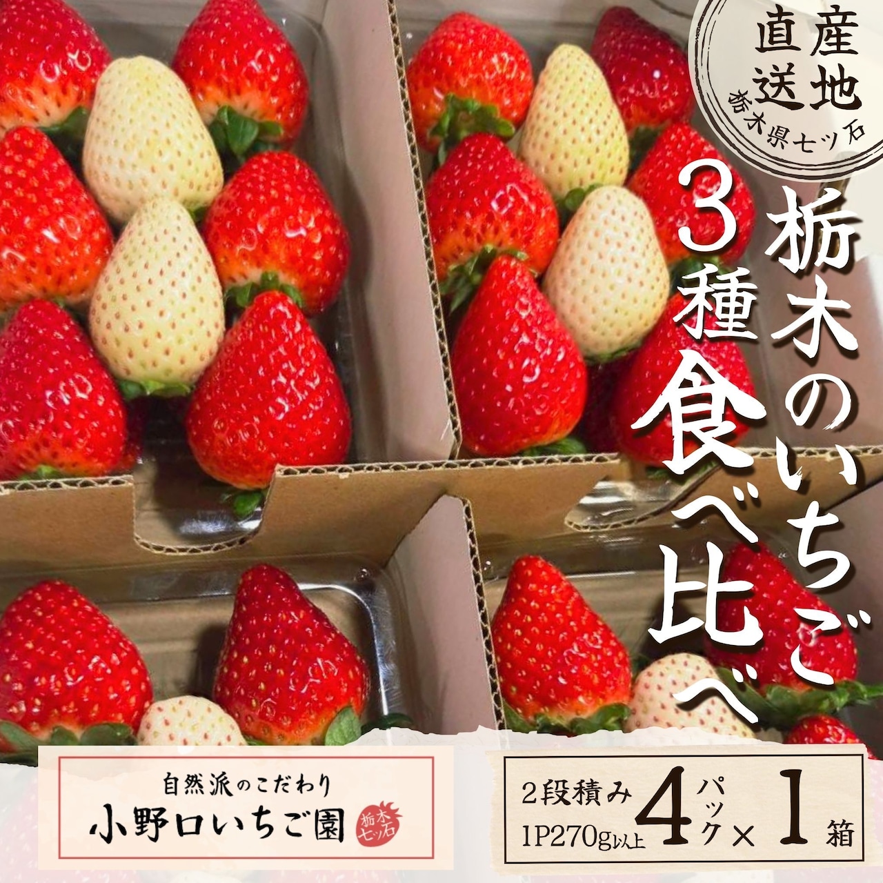 新商品「栃木のいちご3種食べ比べ」とちあいか・とちおとめ・ミルキーベリー 注文受付開始!