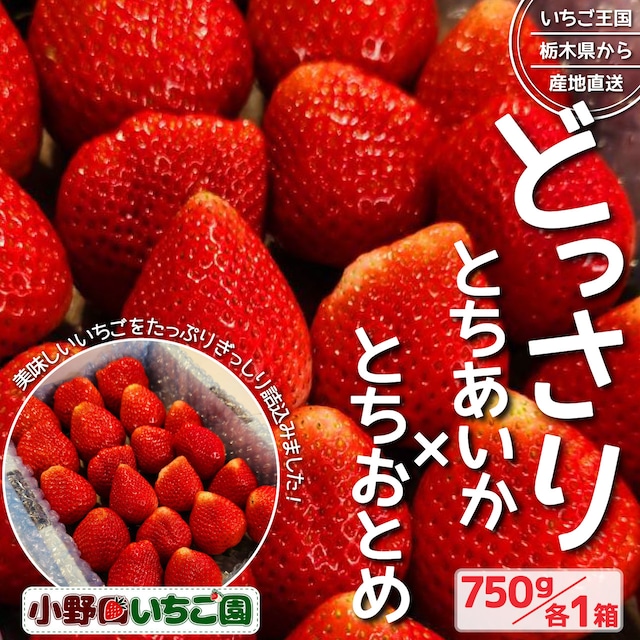 『どっさりいちご』誕生！