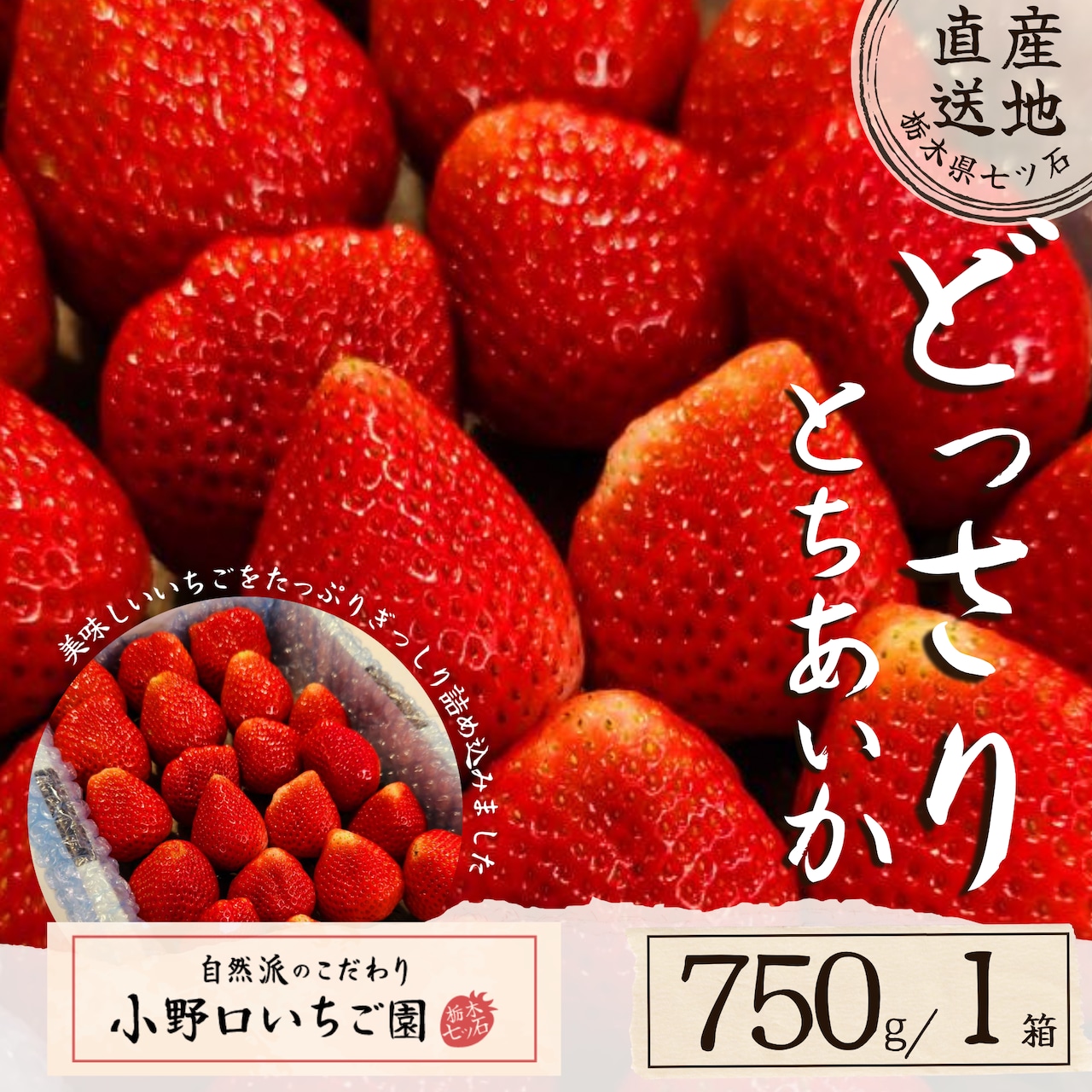 どっさり!どっさり!どっさりいちごが今シーズンも人気!