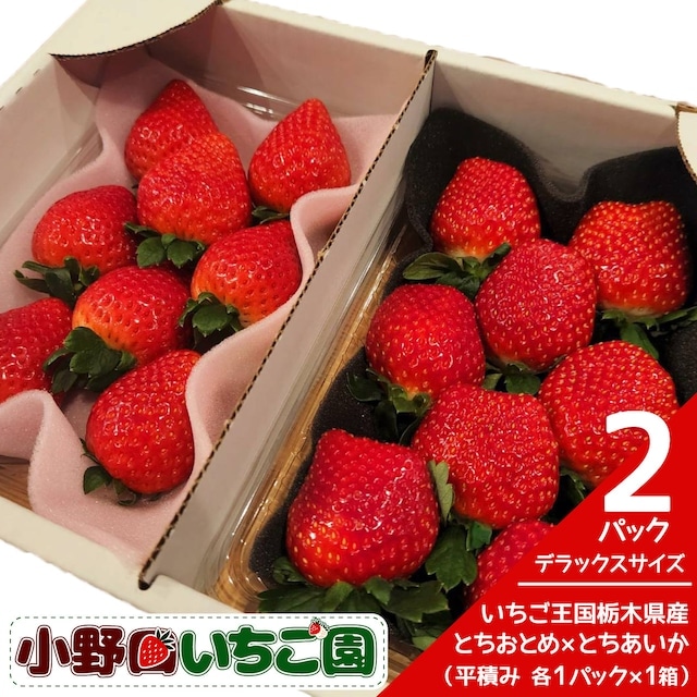 「イチゴ」注文受付は4月26日まで！！！