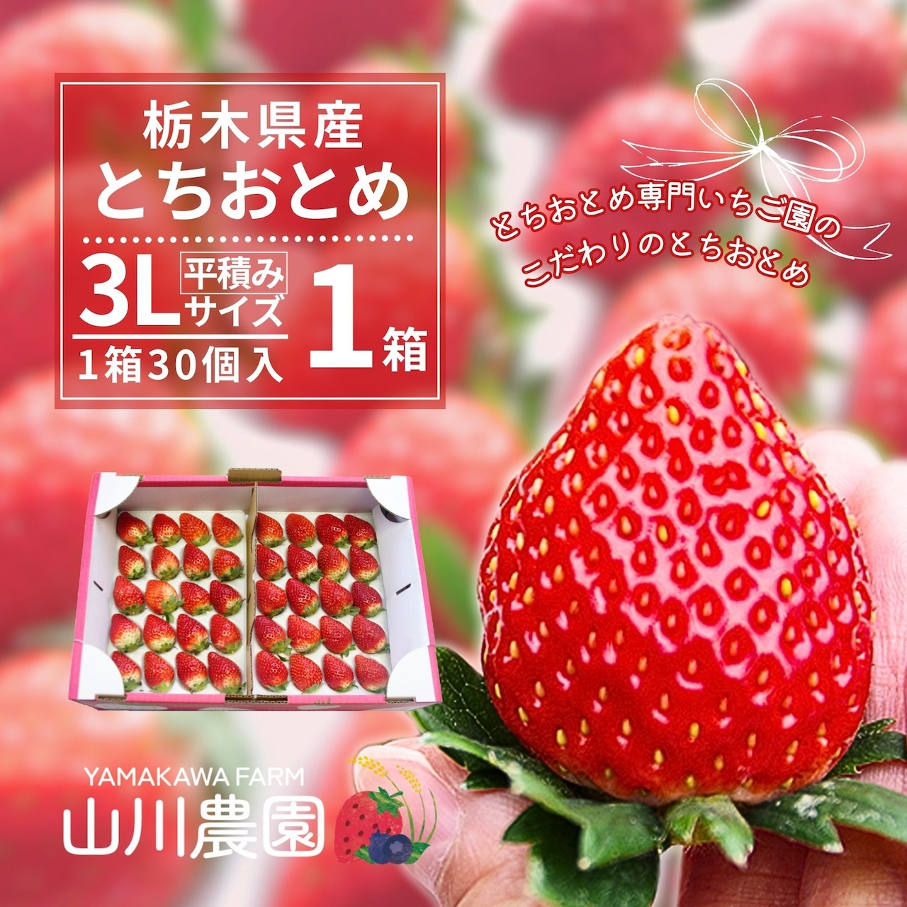 「とちおとめ」お届け指定日時ＯＫになりました！