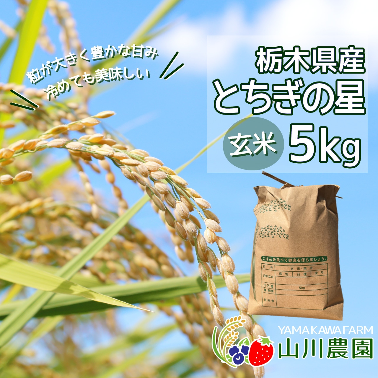 新米「とちぎの星」販売開始!発送は10月初旬(予定)から!