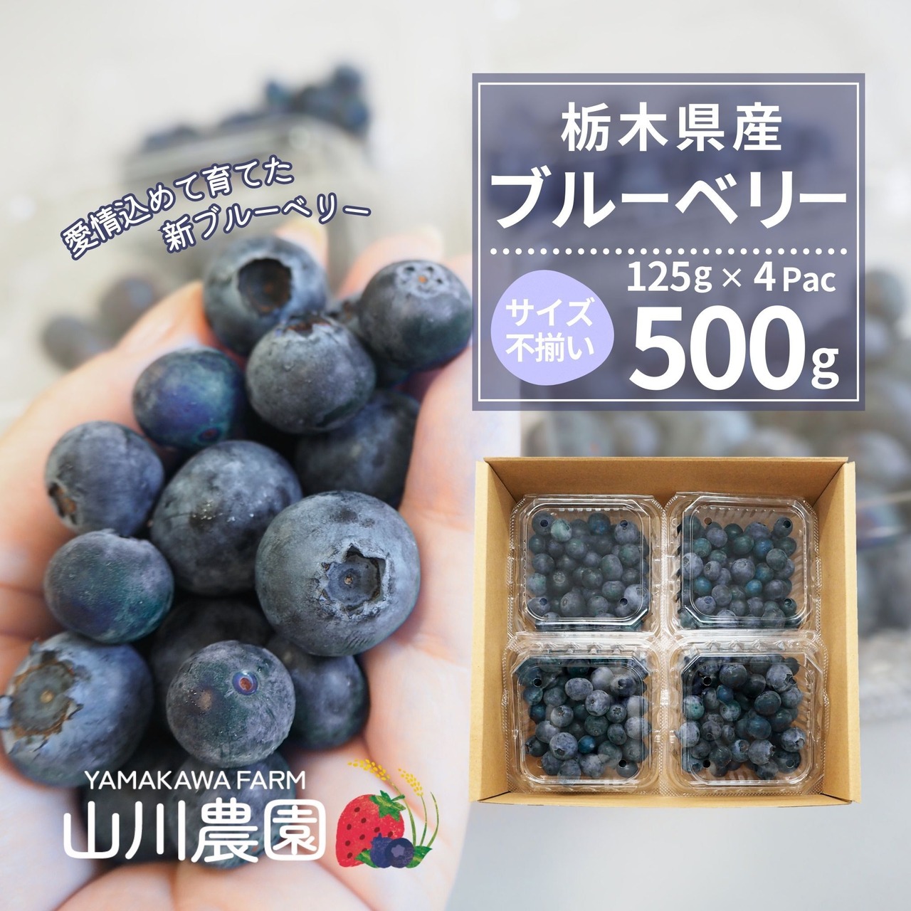「訳あり 生ブルーベリー」期間限定でネット注文受付開始!