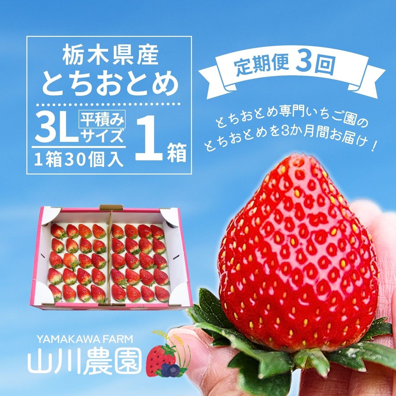 定期便「とちおとめ」注文受付は2/16（月）まで