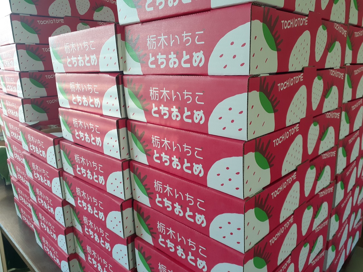 「とちおとめ」たくさん発送しております！