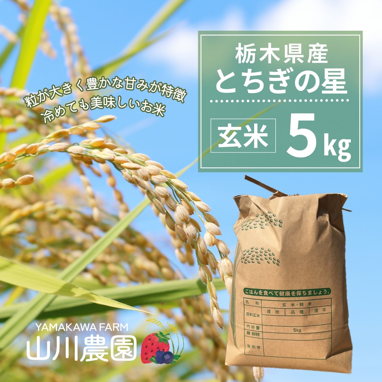 新米 「令和8年産 とちぎの星 玄米 5kg・25kg」 予約注文受付開始!