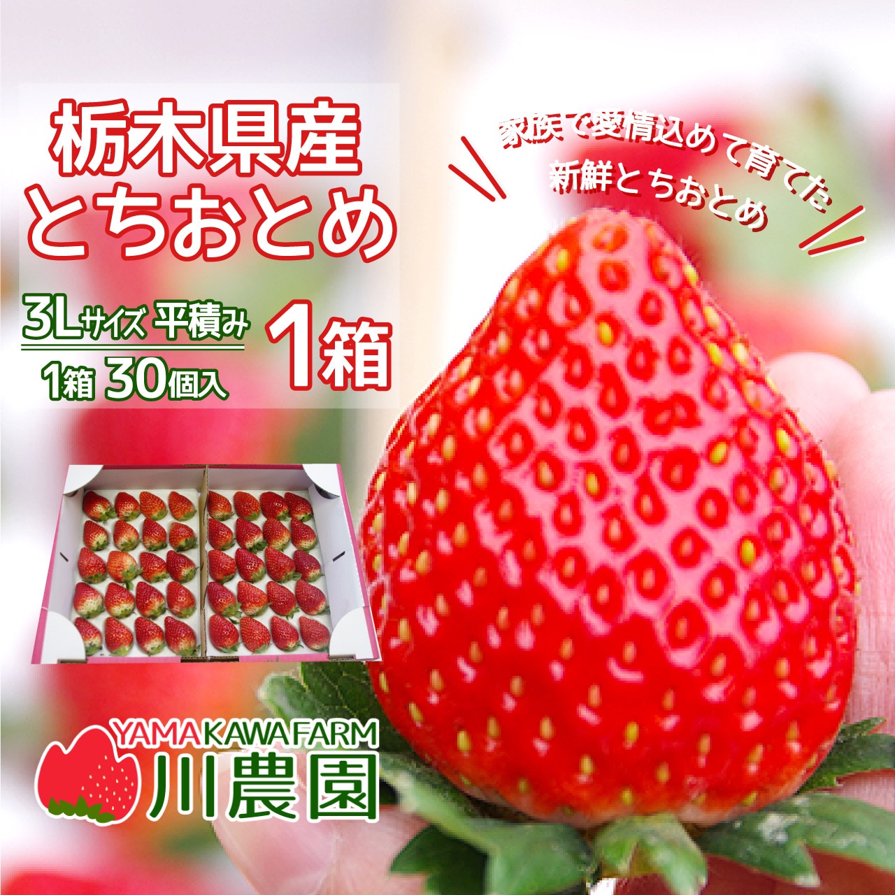 「とちおとめ」注文受付を開始!