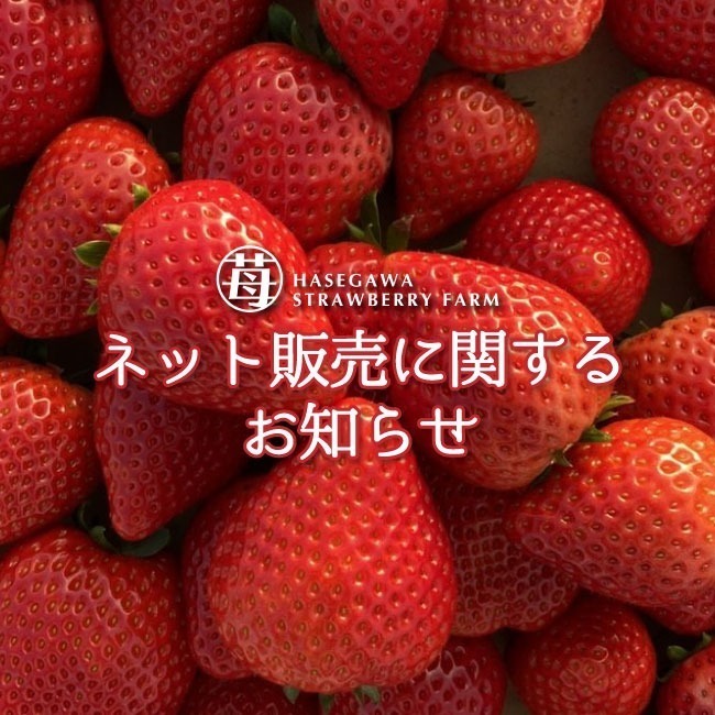 「とちあいか」注文受付を4/4（金）まで、発送最終日は4/10頃になります！