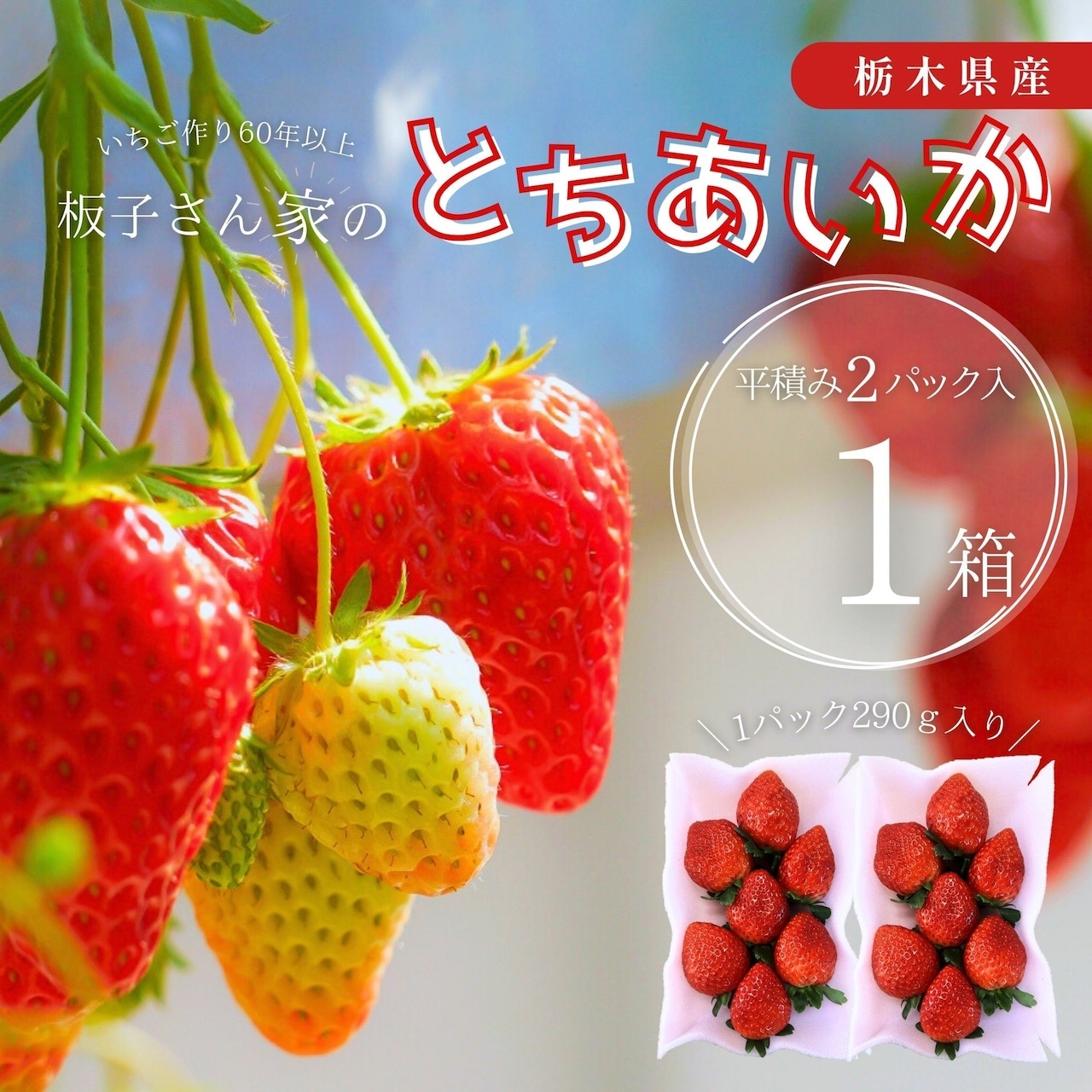 今シーズンの「とちあいか」ネット販売は終了！