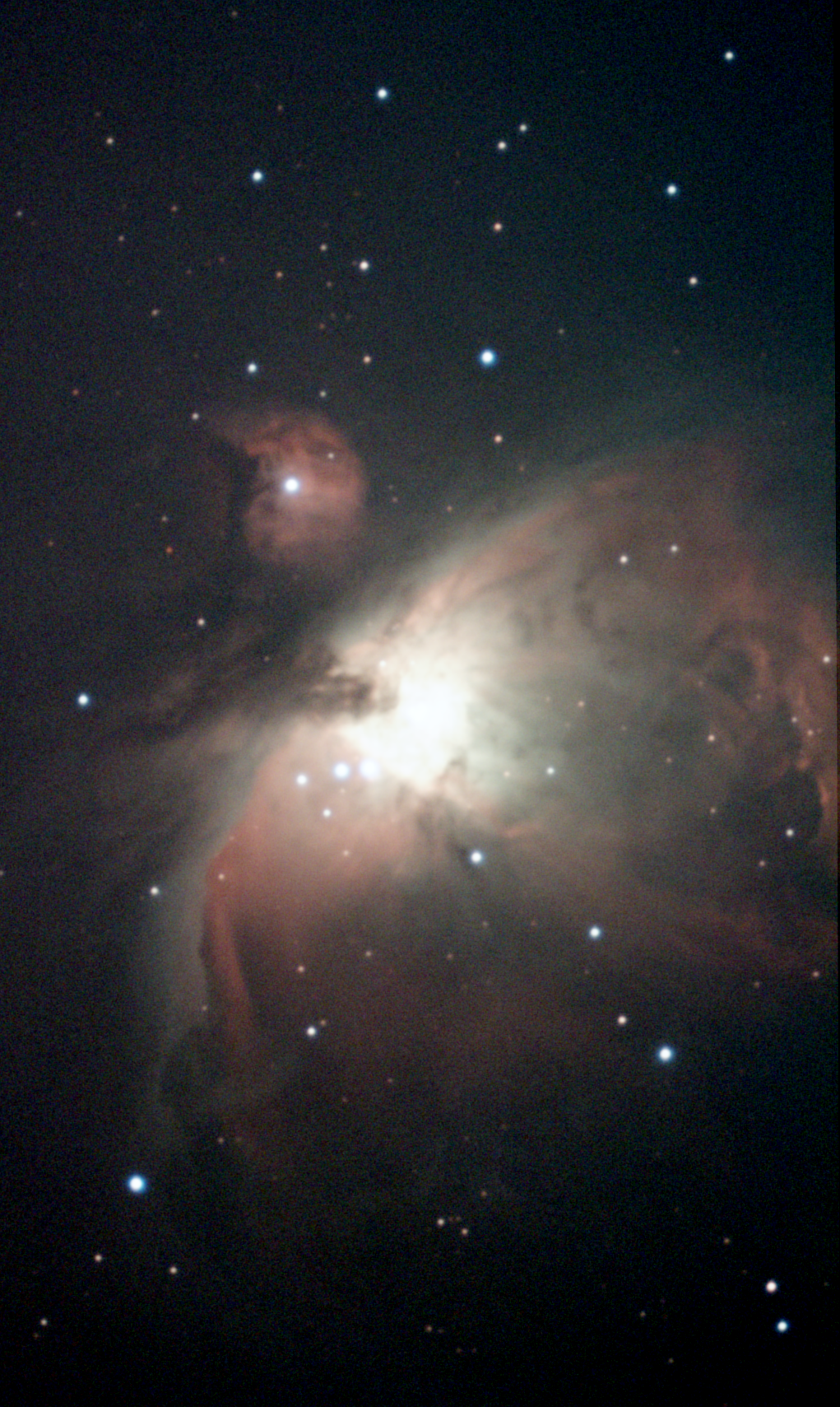 1年ぶりのオリオン座大星雲、M42