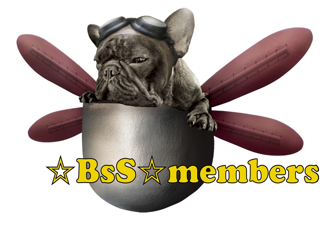 ☆BsS☆members