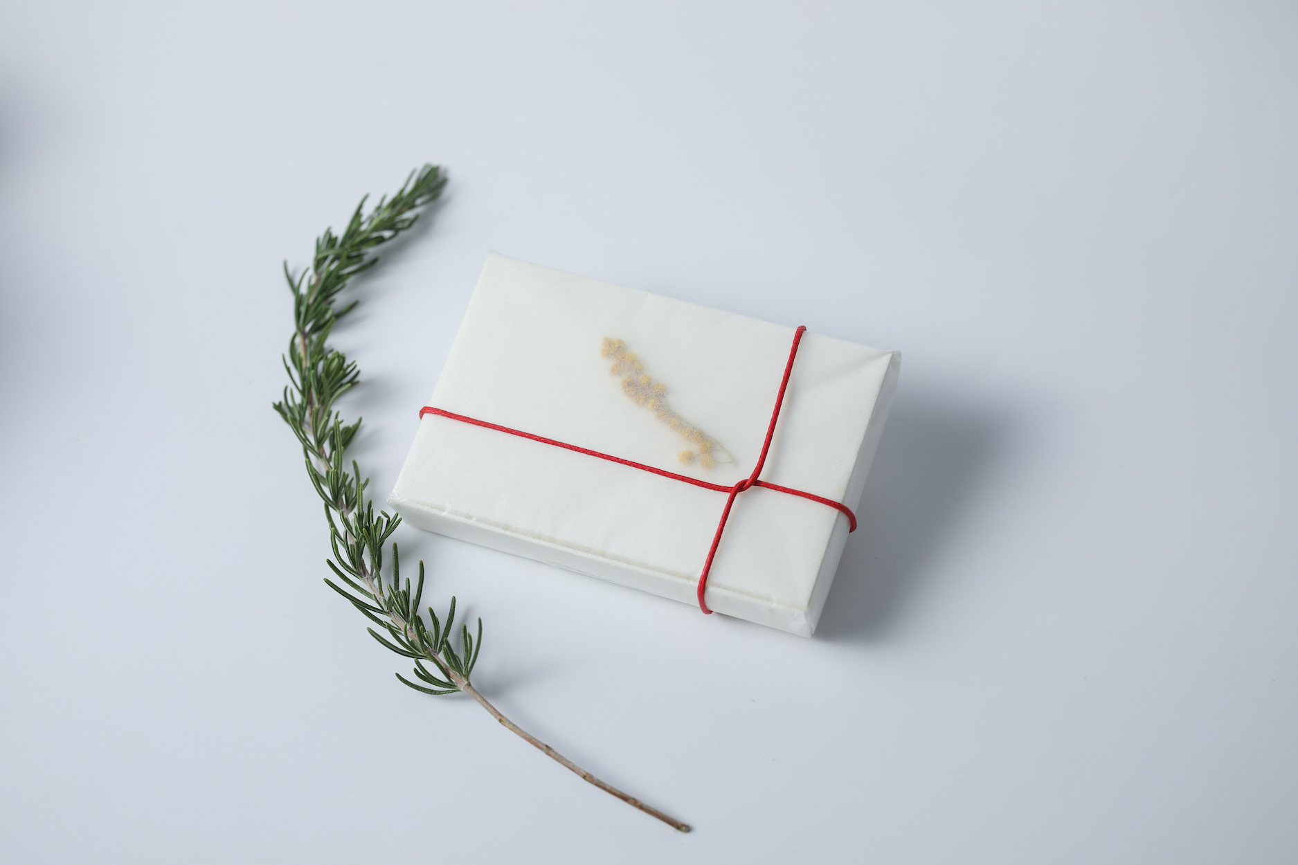 春分のお茶　＜リーディングハーブティー＞のお知らせ