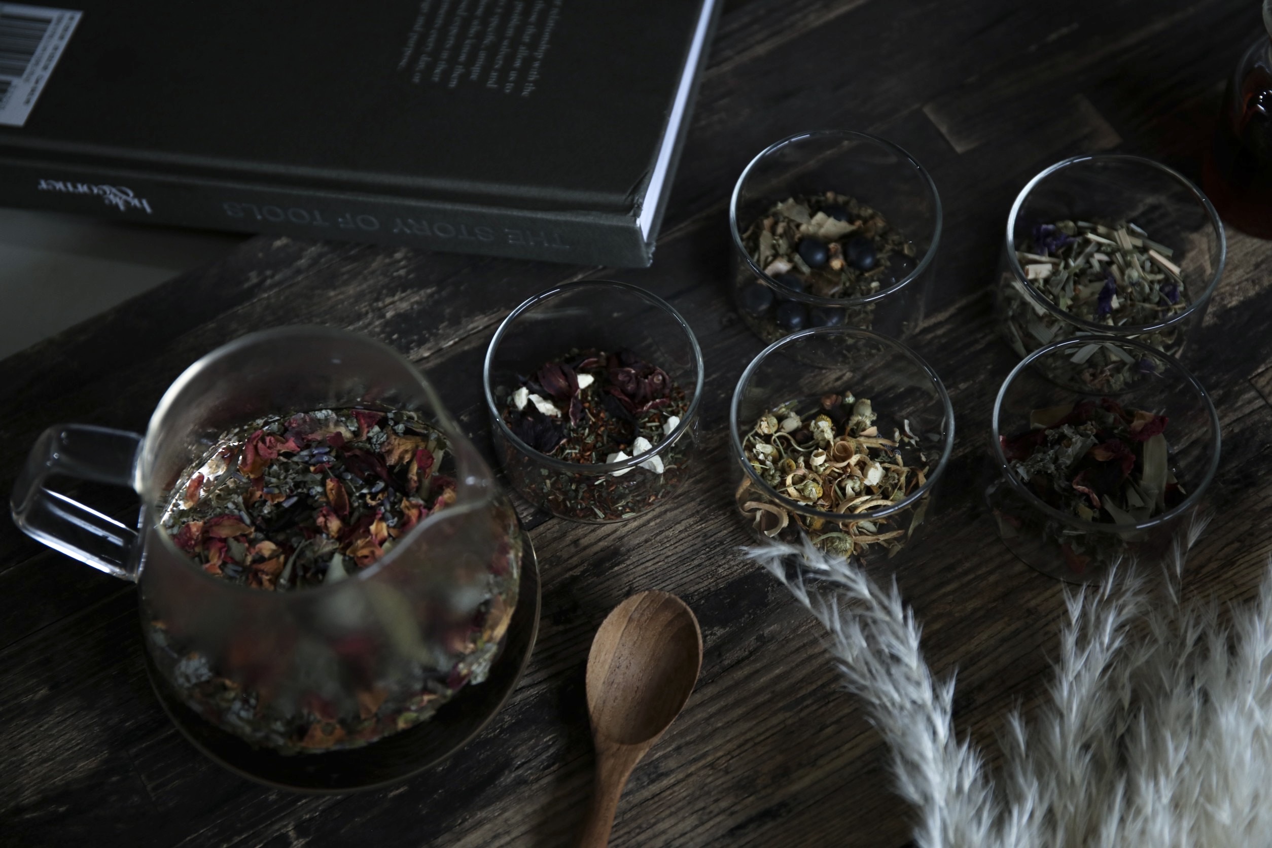 ワークショップのお知らせ🌿