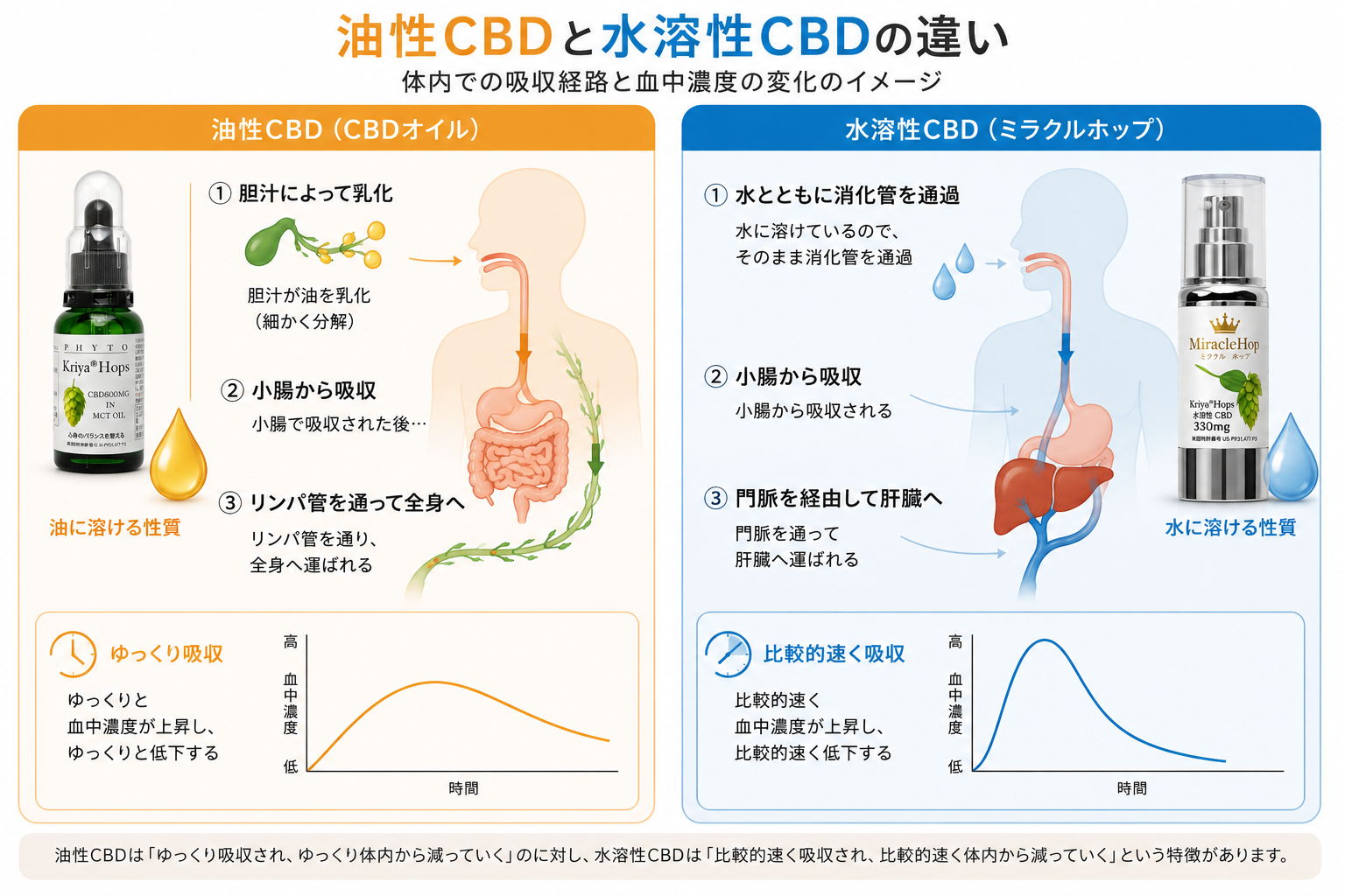 ミラクルホップとは? ~Kriya Hops CBD 水溶性製品の特徴~