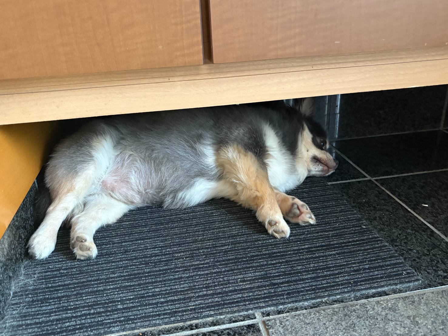 しんぼー...