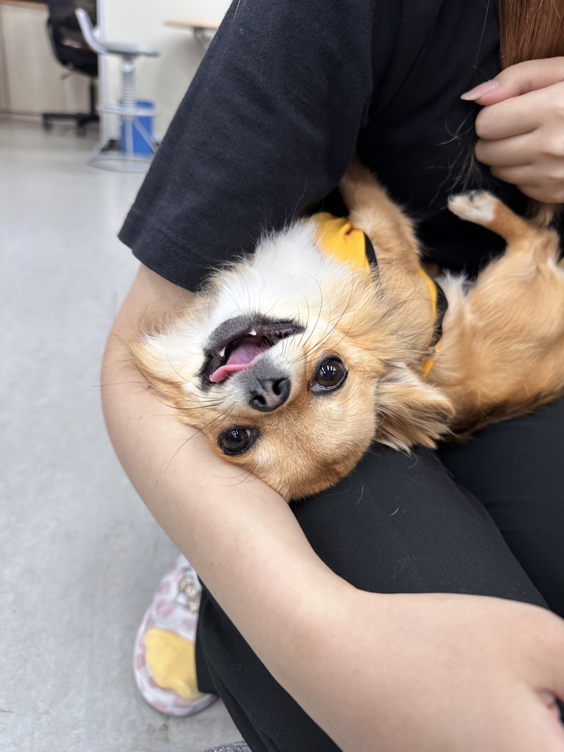 あと少し...