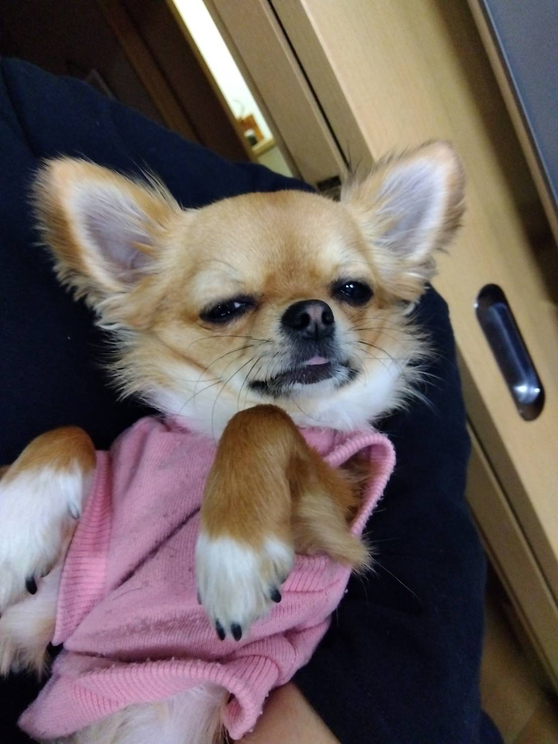 大人ですが...
