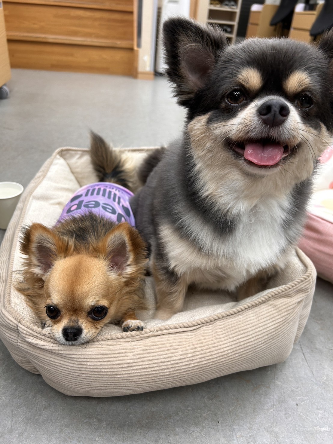 こまったちゃん...