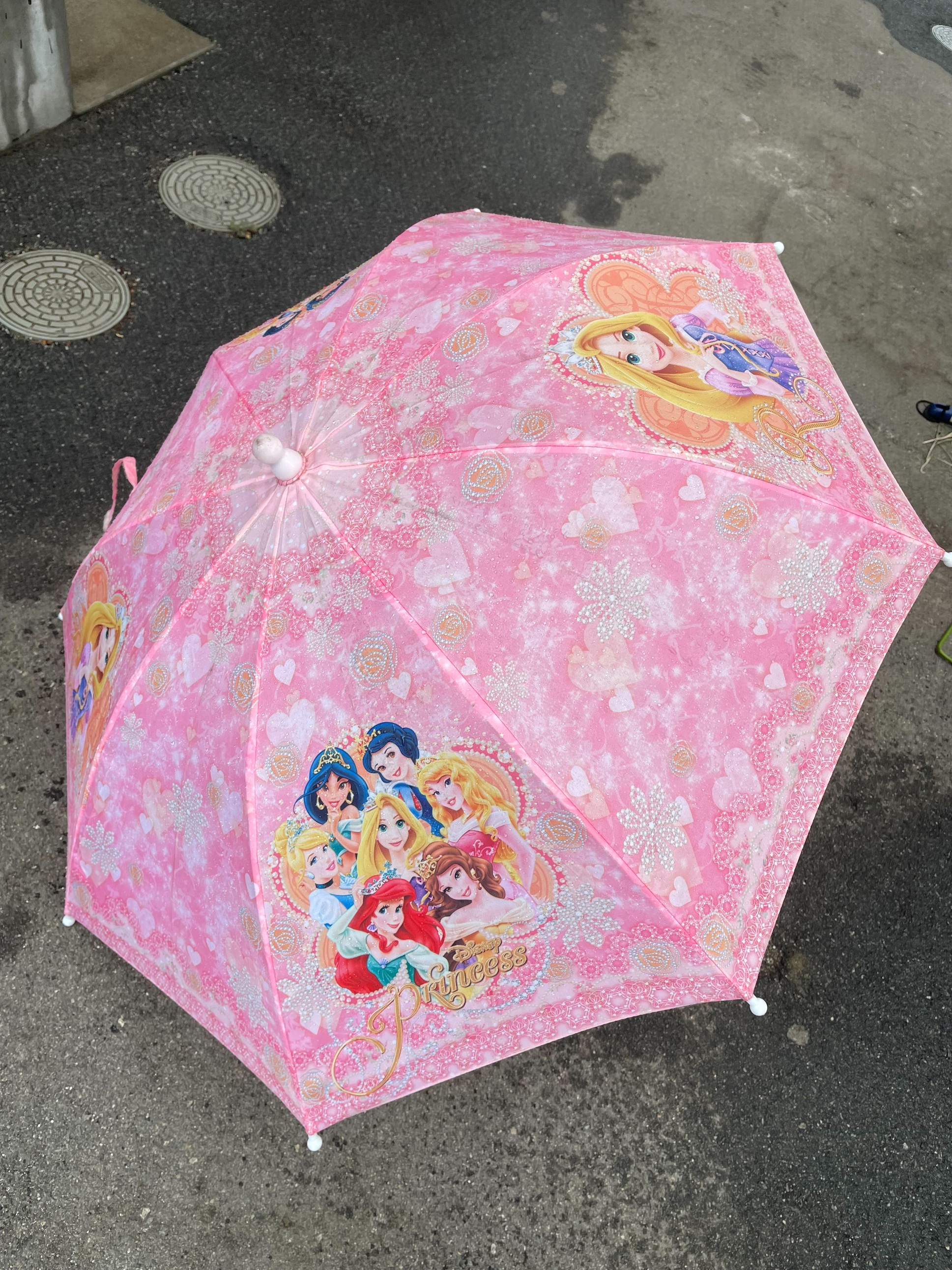 梅雨入りして...