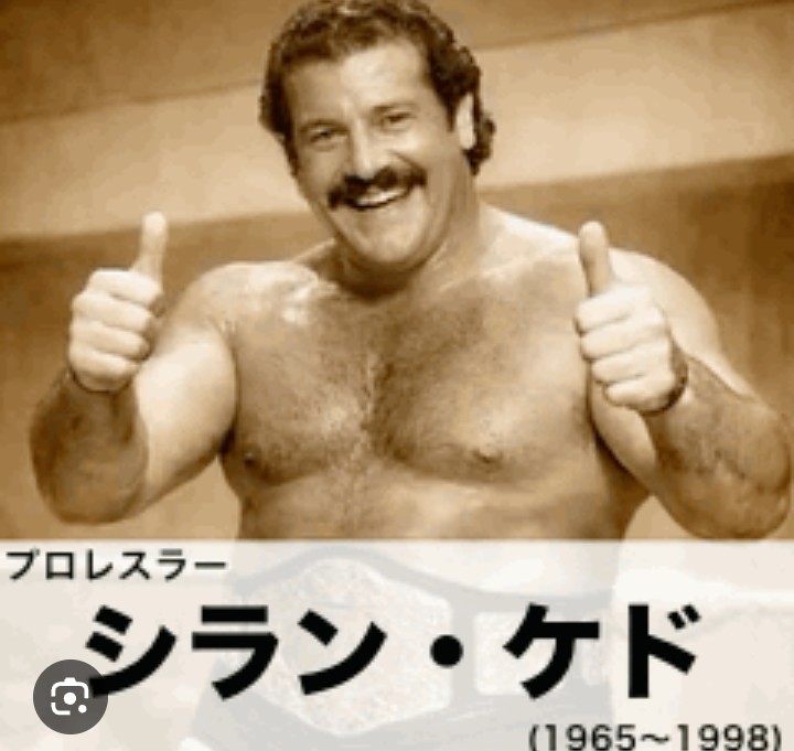 きょうのうそ...