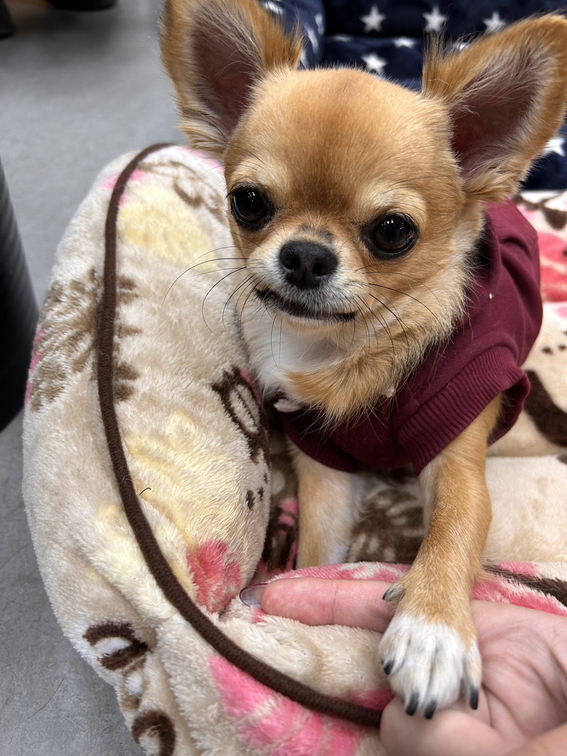 ありがとうございます...