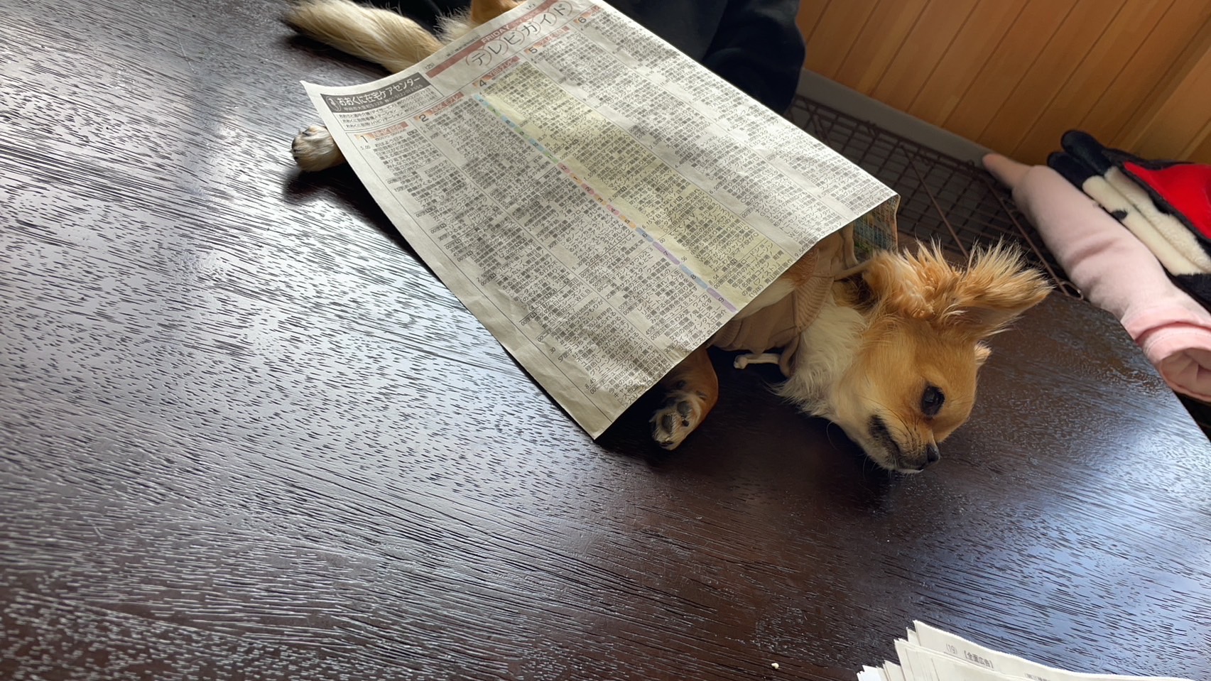 ありがとうございました!!