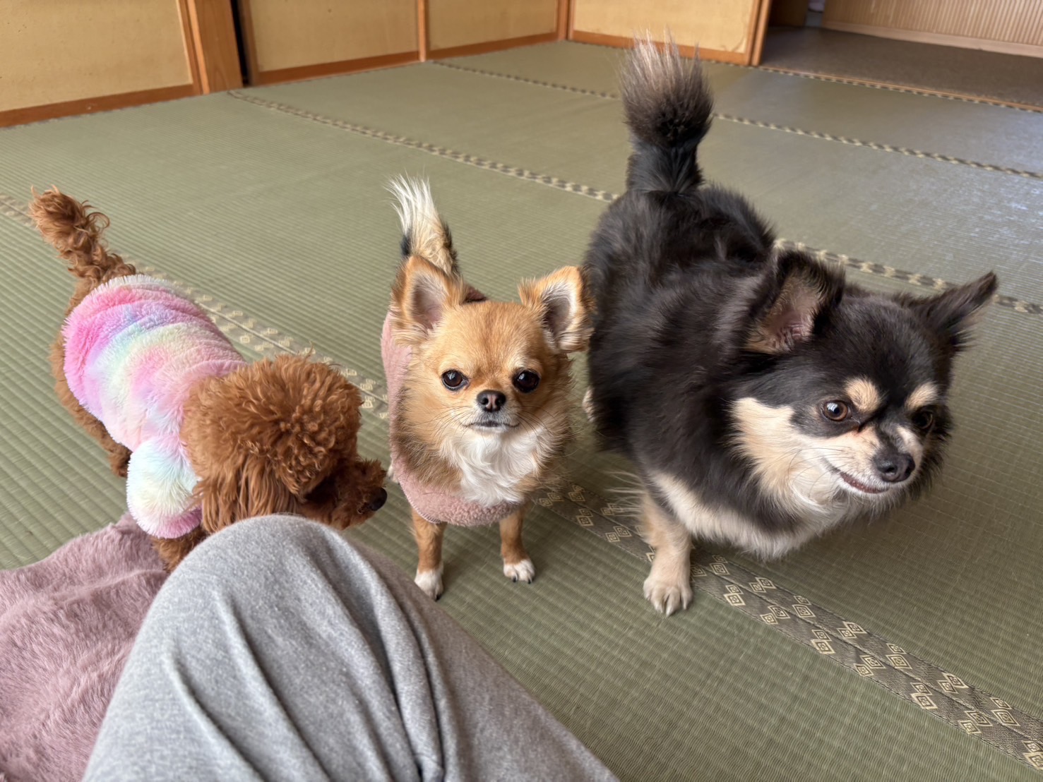 花粉症とは...
