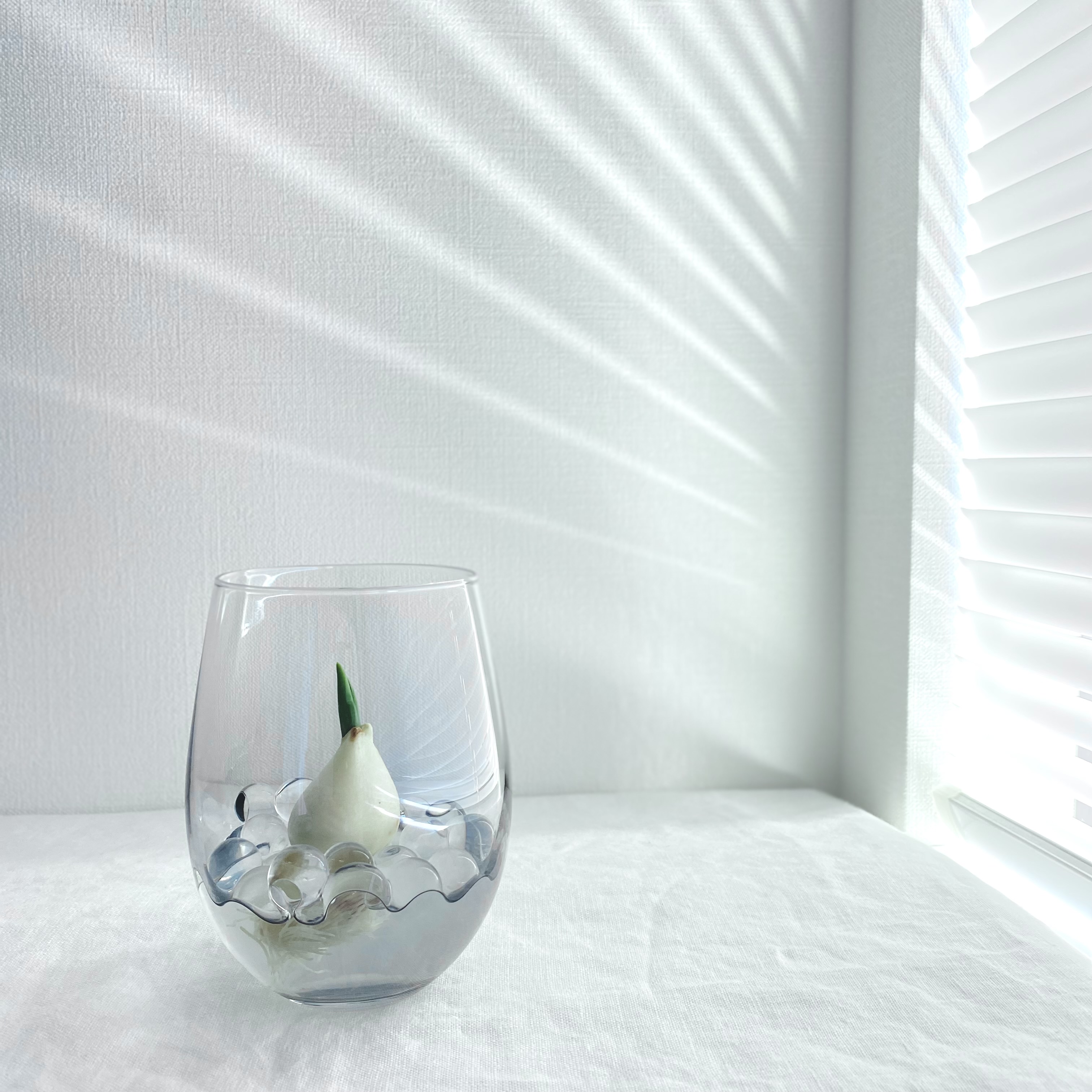 2024年 本年は大変お世話になりました。