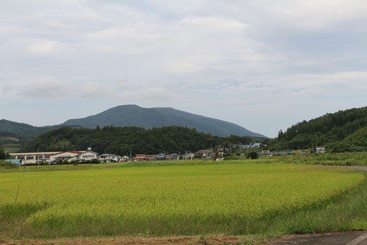 最初は「鶏」を考えた