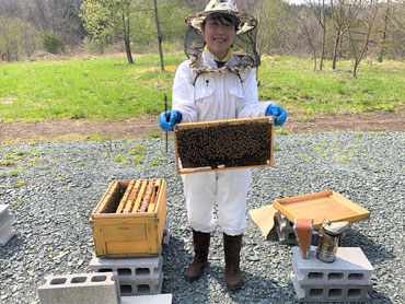 Welcome to the NAKAICHI Bee garden ‼