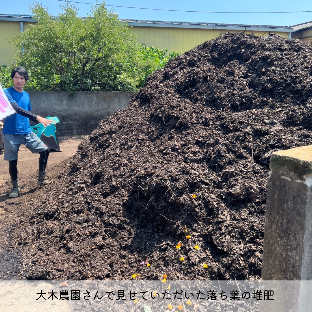 武蔵野の落ち葉堆肥農法🍂✨