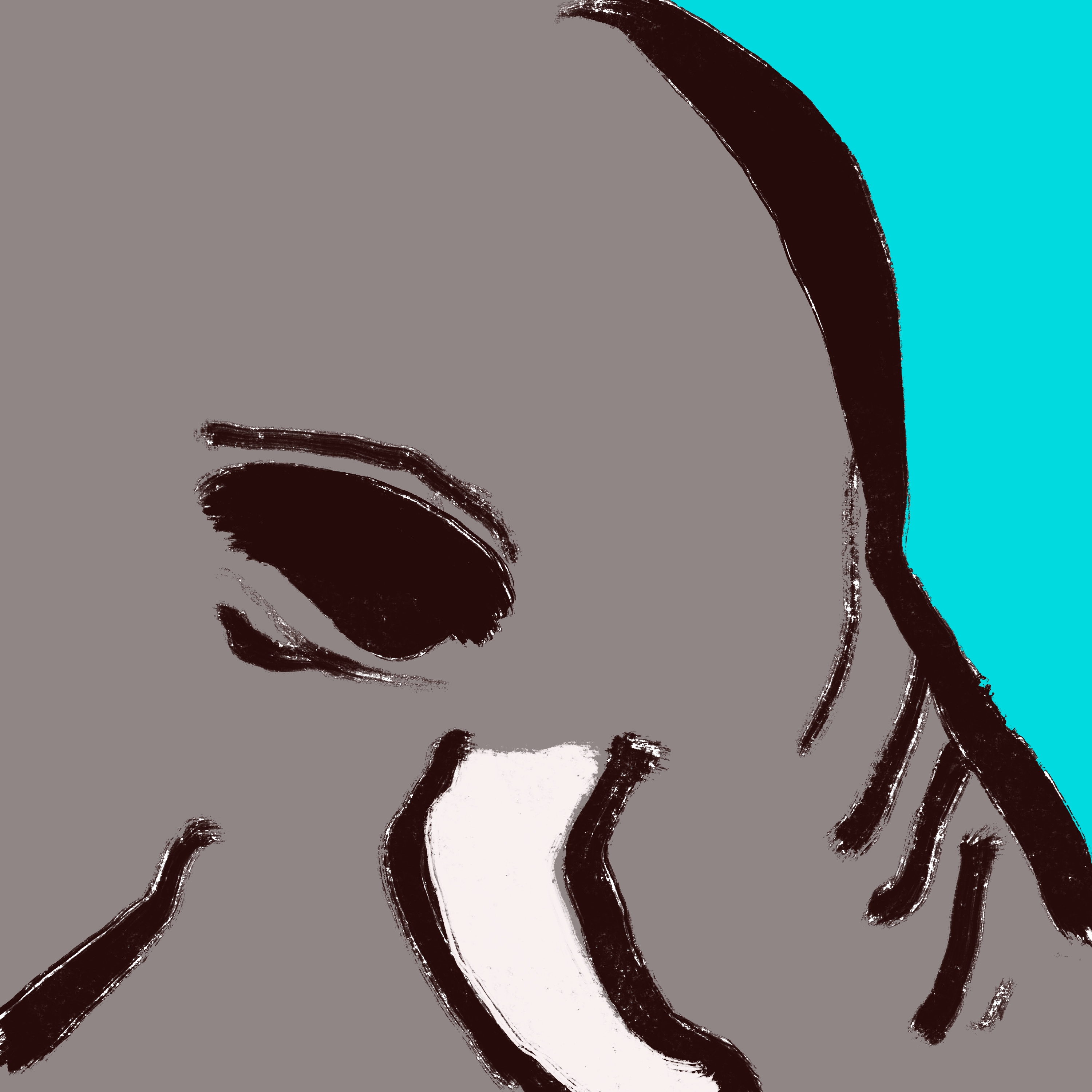 象