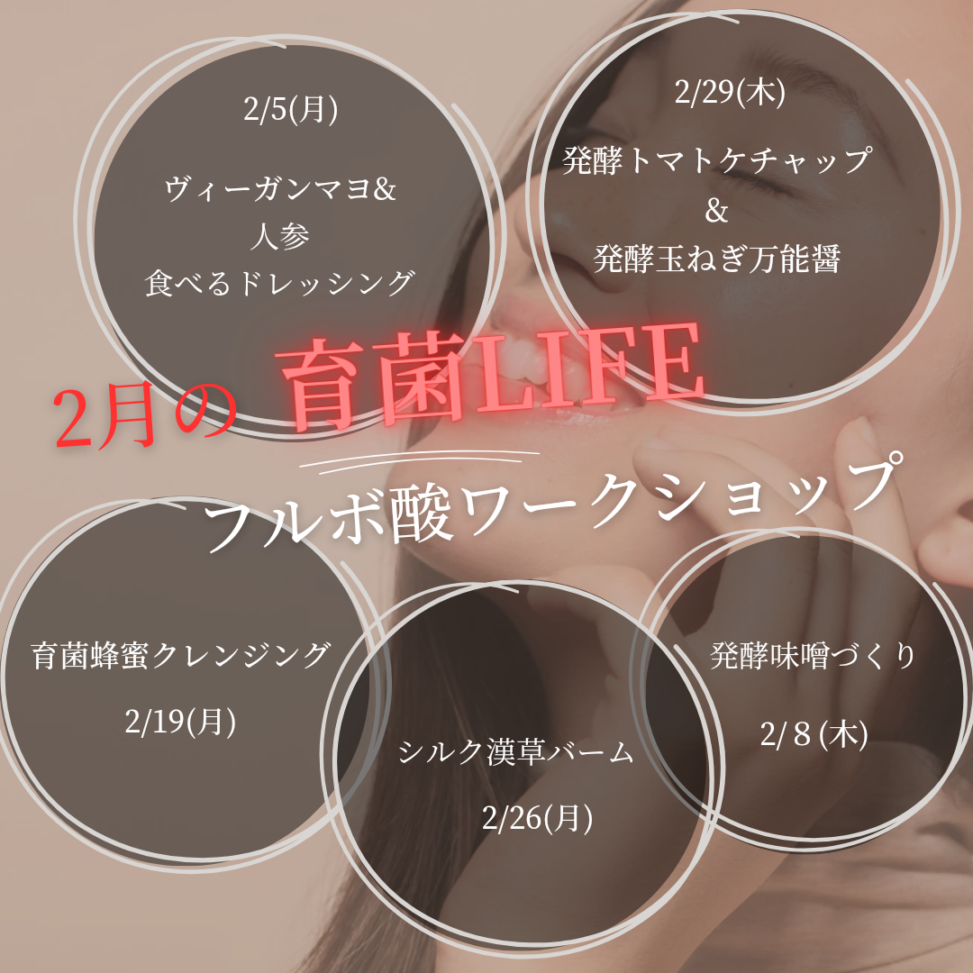 2024年2月ワークショップのお知らせ