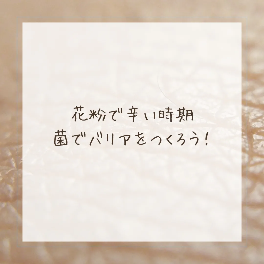 女性による女性のための　マルシェ