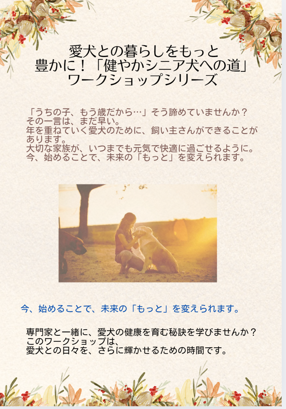 愛犬との暮らしをもっと豊かに!「健やかシニア犬への道」ワークショップシリーズ ✨🐶