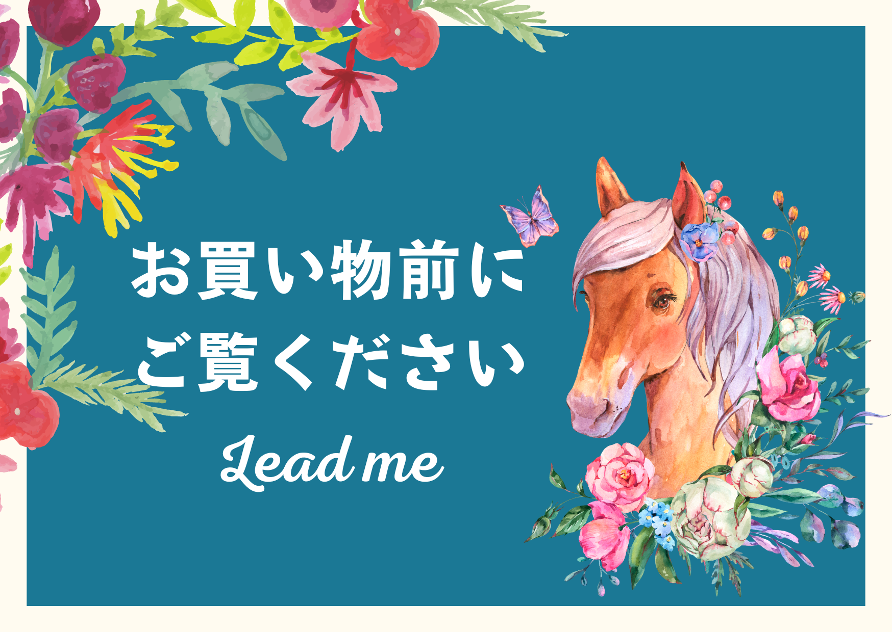 お買い物前にご覧下さい