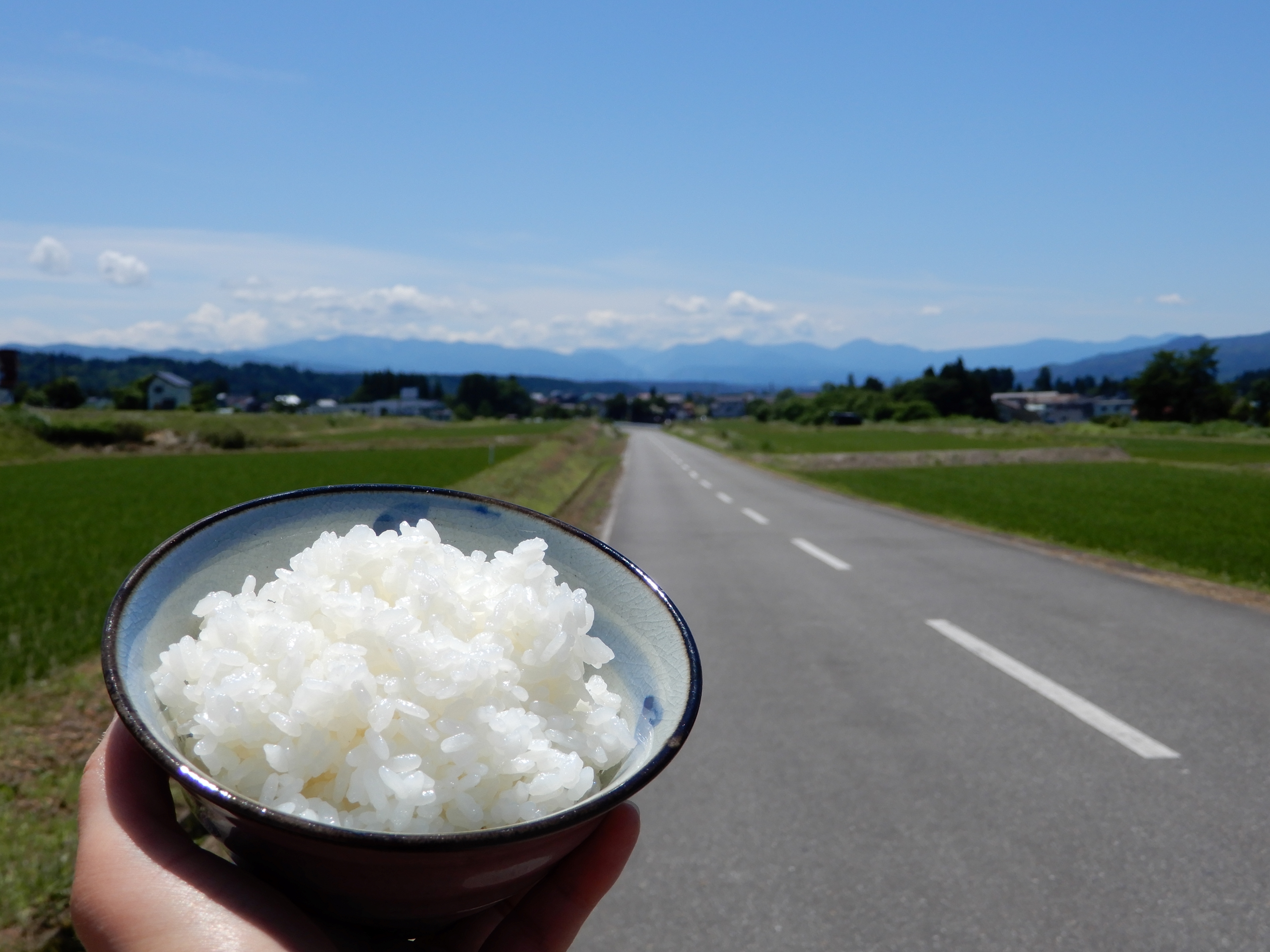 【お買い得になりました】魚沼産コシヒカリ各種