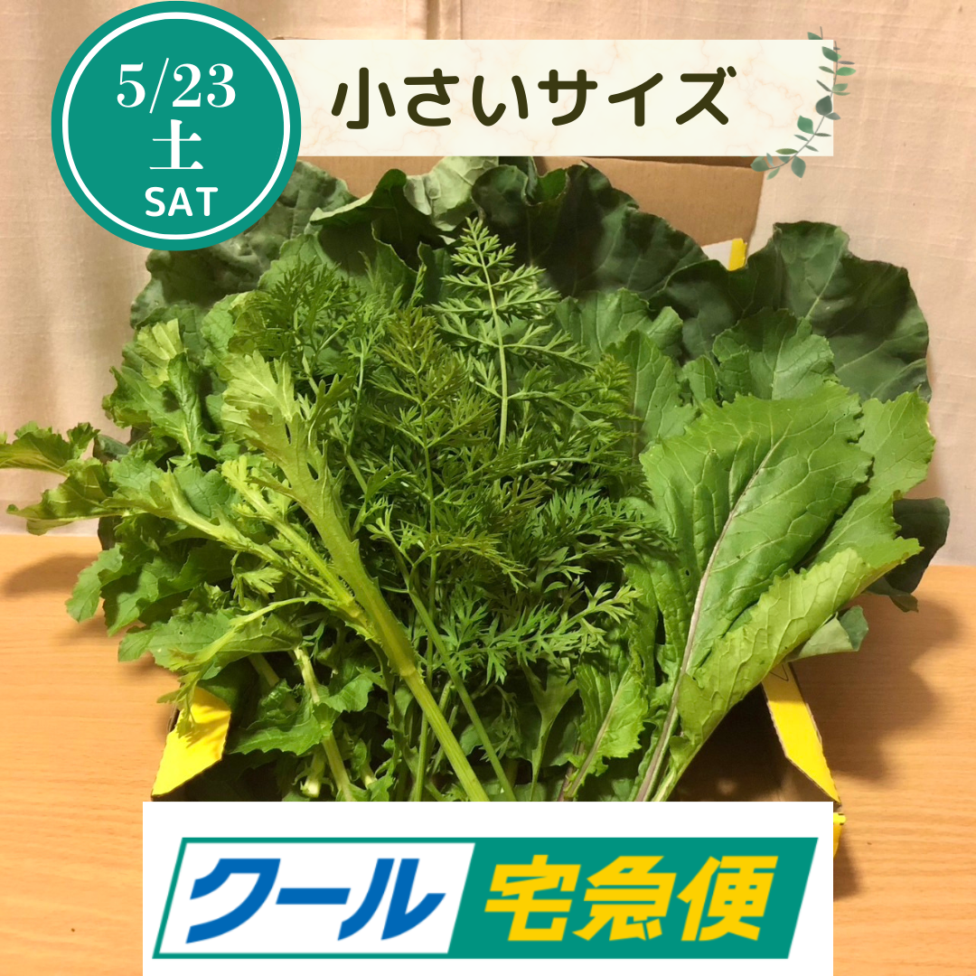 5月23日（土）収穫・発送便につきまして（1週間前の5月16日21時から受付開始）