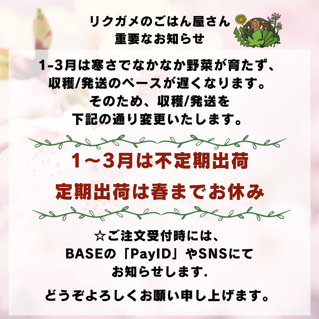 冬の不定期出荷変更のお知らせ（2024年1～3月）