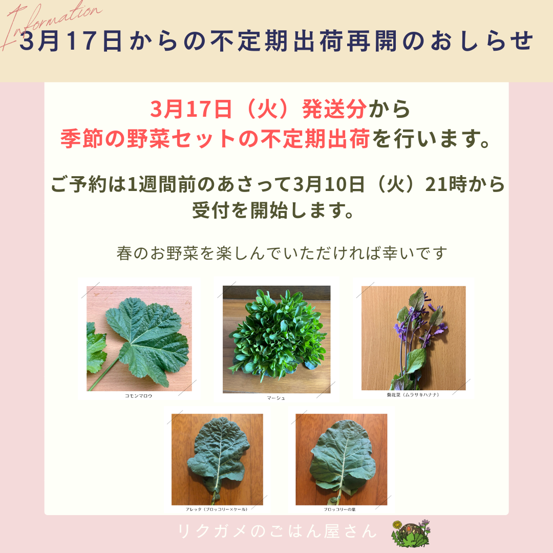 不定期出荷再開のお知らせ：3/10（火）21時から受付開始