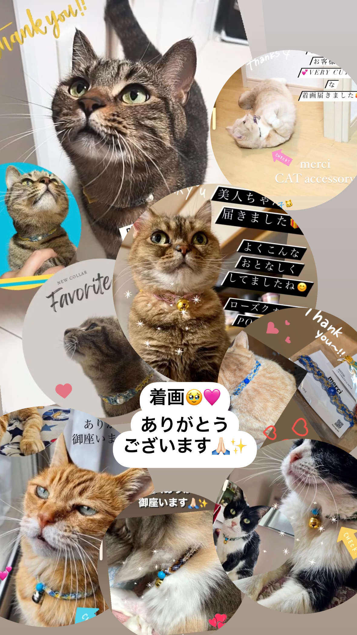 愛する猫ちゃん用CATアクセサリー・ 新カスタマイズサービス!!