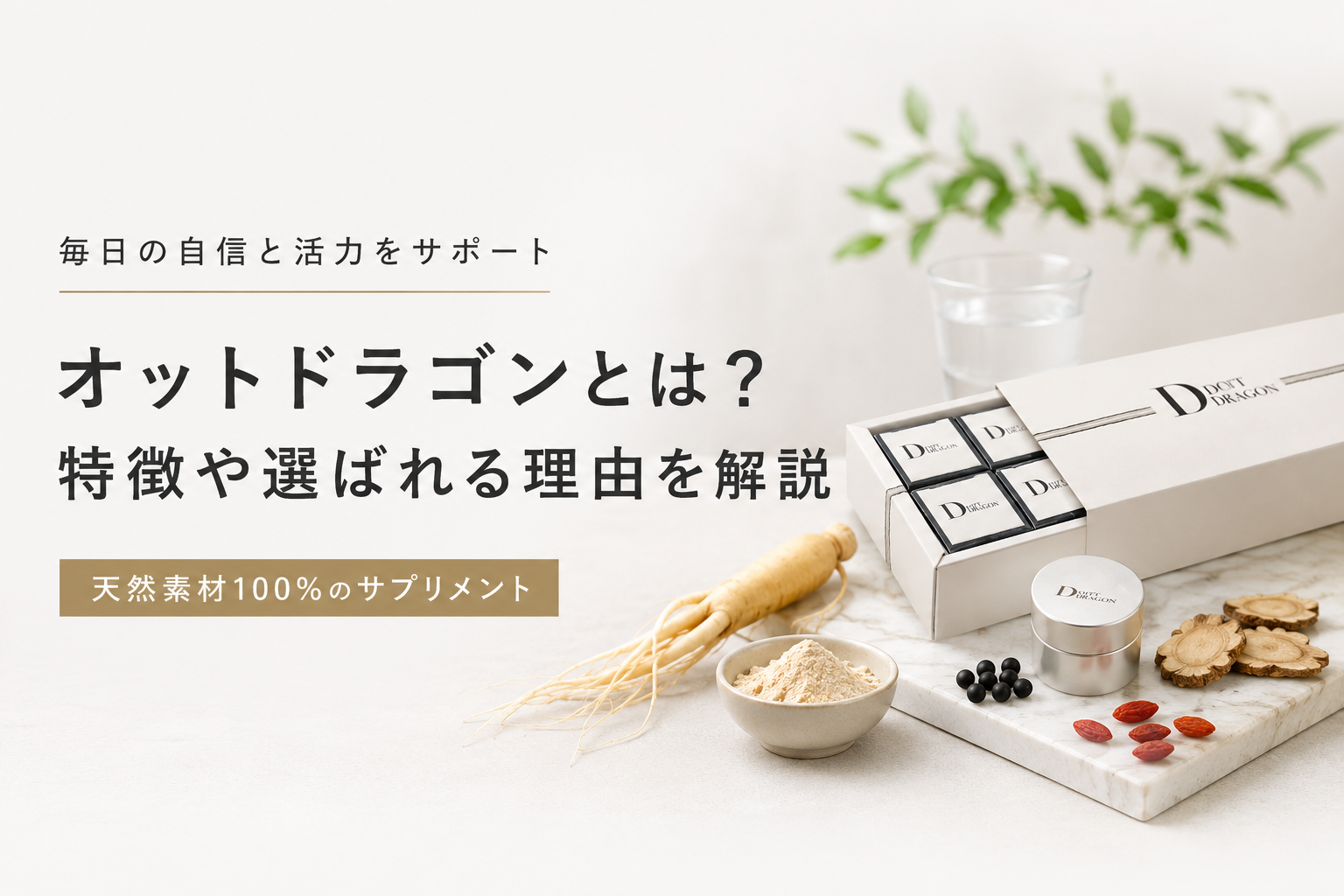 オットドラゴンとは?特徴や選ばれる理由を解説
