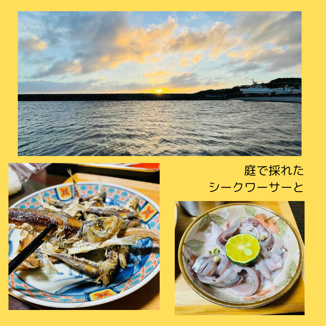 ミジュン釣り